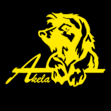 Akela agility team