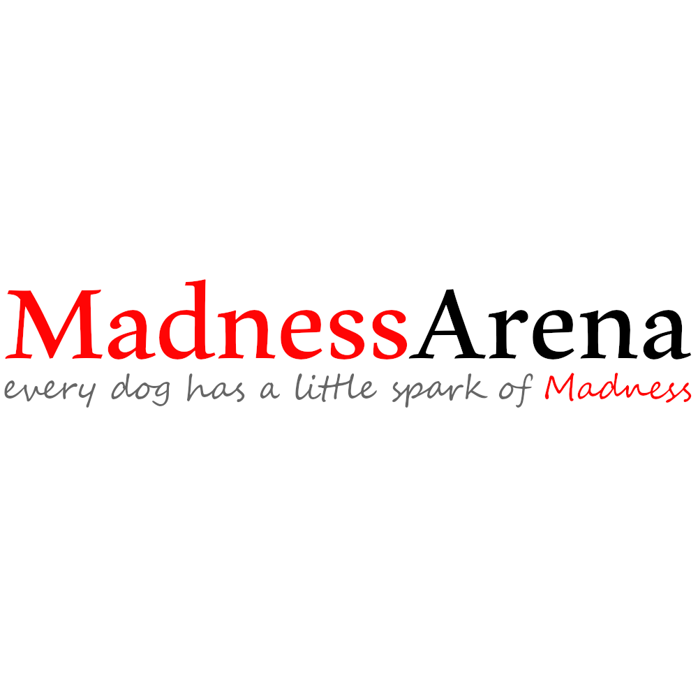 Madness Arena